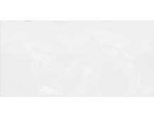 Настенная плитка Alma Ceramica Brenta Monocolor Str 24.9х50