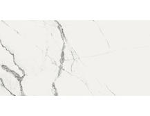 Керамогранит Fanal Pulido Nplus New Ice White 60x120