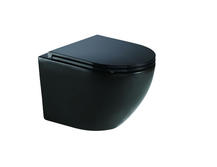 Подвесной унитаз WeltWasser Merzbach 041 XL MT-BL
