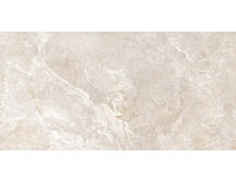 Настенная плитка Alma Ceramica Persey TWU2550PRS40 24,9x50
