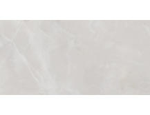 Настенная плитка Alma Ceramica Rivoli TWU09RVL007 24,9x50